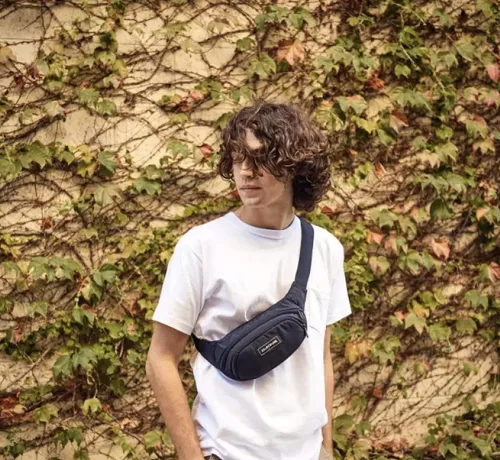Miniatura 4 de Dakine Hip Pack