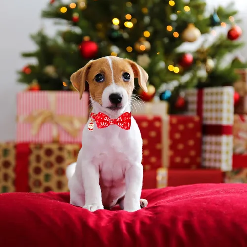 Miniatura 2 de ADOGGYGO Collares de Navidad para Perros con Corbatín, Collar Ajustable de Navidad para Mascotas con Corbatín Rojo Verde, Collares de Navidad