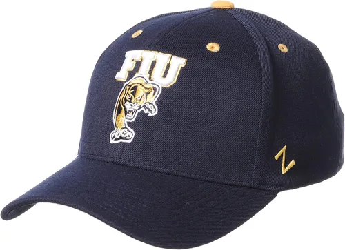 Miniatura 84 de ZHATS - Sombrero ajustado elástico para hombre de la NCAA, color del