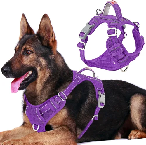 Miniatura 18 de BARKBAY Arnés para perro sin tirones con bolsillo para etiqueta de identificación, resistente, reflectante, fácil control para perros grandes