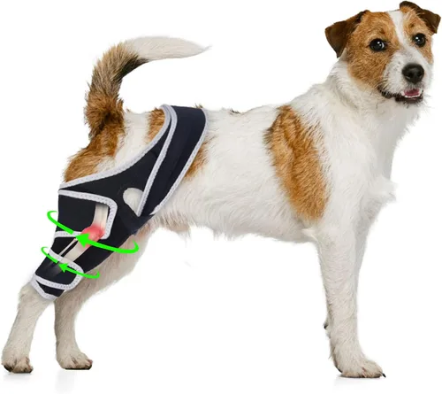 Miniatura 9 de Rodillera para perro para pierna trasera desgarrada del ligamento cruzado anterior, pierna delantera o trasera con lesiones de ligamento cruzado