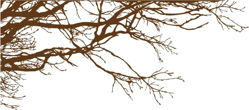 Miniatura 5 de Adhesivo decorativo para pared de árbol grande, ramas negras semi-brillantes, (21 x 50 pulgadas) de izquierda a derecha. Extraíble, no necesita
