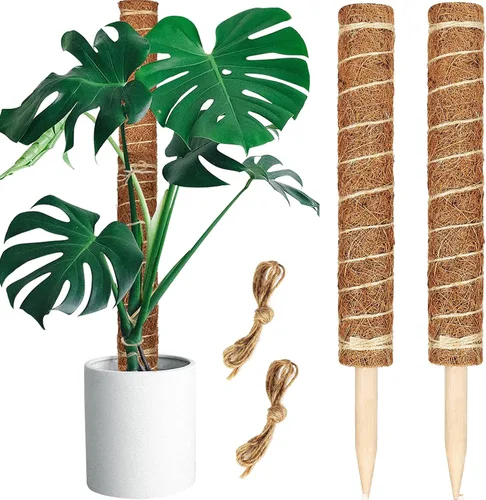 Miniatura 13 de JJGoo Poste de musgo para plantas Monstera, paquete de 2 postes de soporte para plantas de 23.6 pulgadas, poste de tótem de fibra de coco extensible