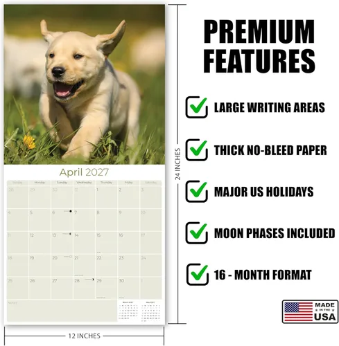 Miniatura 5 de Calendario amarillo 2025 2026 de Labrador Pups – Calendario mensual de pared de raza de perro – 12" x 24" abierto – Papel grueso anti-traspaso