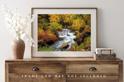 Miniatura 4 de Black Hills Photography Print (Not Framed) Picture of Creek Surrounded by Fall Foliage on Autumn Day in Spearfish Canyon South Dakota Nature Wall