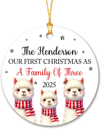 Miniatura 13 de Adorno de nuestra primera Navidad con huellas de patas, nombre personalizado para la primera Navidad del cachorro 2025, recuerdo de huella de perro