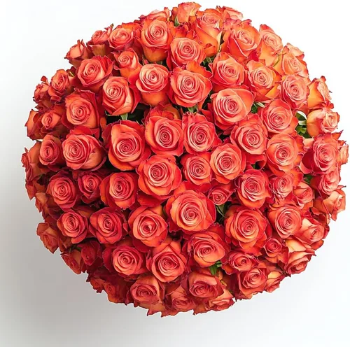Miniatura 14 de GlobalRose Ramo de 100 Rosas Melocotón - Rosas de Origen Responsable Flores Frescas - Ramo Fresco de Flores Seleccionadas a Mano para Graduación