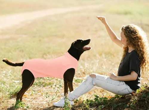 Miniatura 5 de Traje de Recuperación Wabdhaly para Perros, Traje de Cone de Perro con Cremallera Alternativa para Cirugía de Esterilización Femenina, Traje
