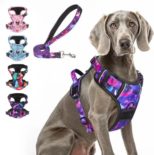 Miniatura 12 de BEAUTYZOO Arnés para perro sin tirones pequeño, juego de arnés y correa ajustable para perro - Fácil de usar con 3 hebillas/mango de control, arnés