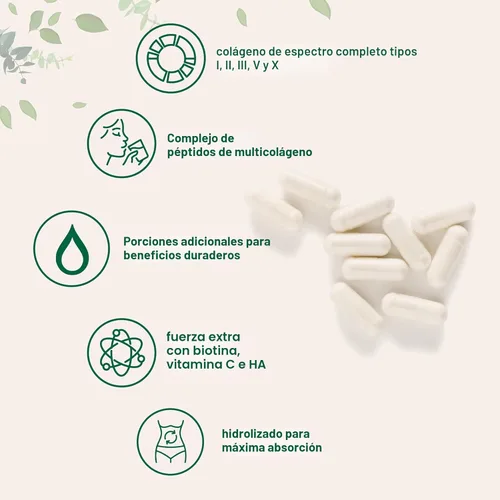 Miniatura 3 de Micro Ingredients Píldoras de colágeno múltiple para mujeres y hombres, 240 cápsulas Tipo I, II, III, V, X Péptidos proteicos hidrolizados