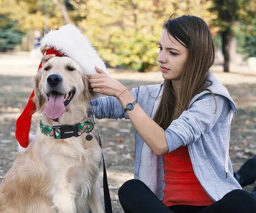 Miniatura 4 de DOGWONG - Collar de algodón para perro, de Navidad, verde, Santa Claus, duradero y suave, lindo collar de cachorro para perros pequeños, medianos