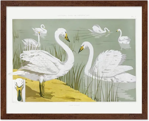 Miniatura 14 de Poster Master Vintage James Audubon Póster - Impresión Retro de Cuervo - Arte de Aves de América - Arte de Aves - Regalo para Hombres, Mujeres