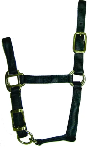 Miniatura 8 de Hamilton Quality Horse Halter, nailon de triple capa de 3/4", correa ajustable para la barbilla, poni o mini burro, 100-200 libras, negro