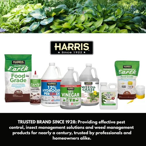 Miniatura 9 de Harris Eliminador de Chinches Más Resistente, Spray en Aerosol de 16 oz