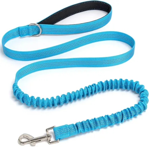Correa elástica para perro, correa de nailon reflectante y absorbente de golpes de 5 pies, entrenamiento antitirones para perros pequeños/medianos,