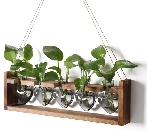 Miniatura 7 de Estaciones de propagación colgantes de terrario para plantas, regalo para mujeres, soporte para plantas de aire con soporte de madera, cristal
