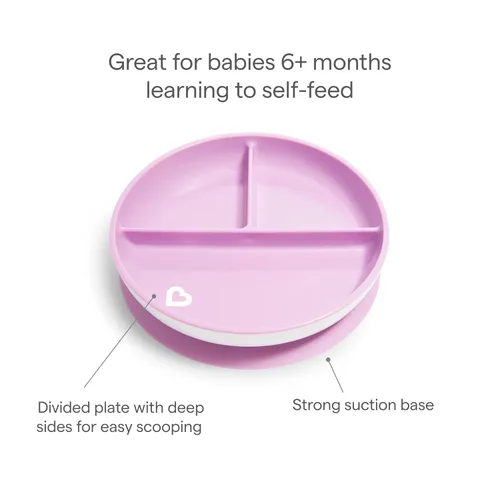 Miniatura 4 de Munchkin Stay Put Platos de Succión para Bebé y Niño Pequeño, 3 Secciones Divididas, Rosa/Morado Rosado/Púrpura