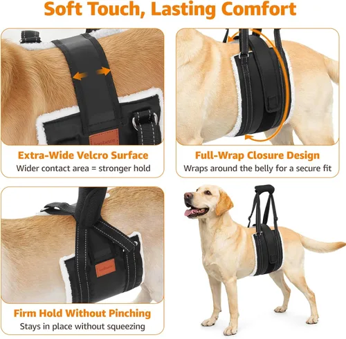 Miniatura 3 de LOOBANI Arnés de elevación para perros para patas traseras, arnés portátil para perros grandes, soporte para patas traseras, cómodo soporte