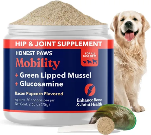 Honest Paws Glucosamina para perros - Suplemento en polvo para articulaciones y movilidad con mejillón de labios verdes, aceite de pescado y MSM -