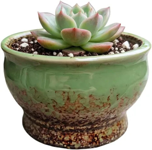 Miniatura 35 de Bonita maceta circular de cerámica para decoración del hogar y jardín, suculentas, cactus, maceta no incluida (azul, 3.19 pulgadas)