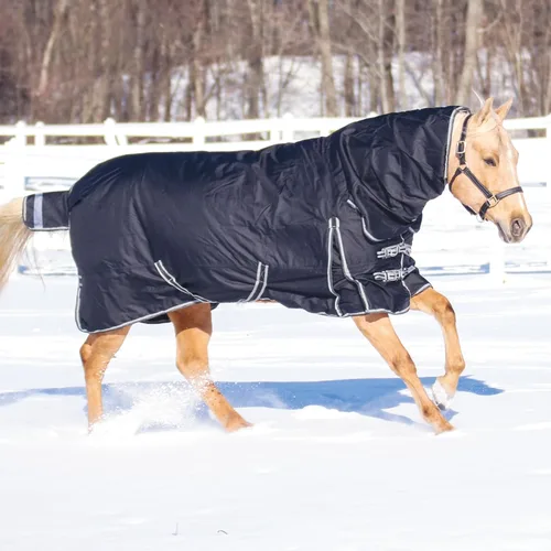 Miniatura 6 de STORM SHIELD Manta de participación clásica II para caballo Cubierta de cuello adjunta Cinturón cruzado Manta de invierno impermeable