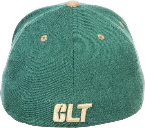 Miniatura 4 de ZHATS - Sombrero ajustado elástico para hombre de la NCAA, color del