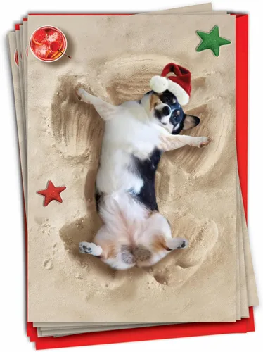 Miniatura 11 de The Best Card Company Paquete de 12 tarjetas de Navidad con sobres, humor navideño para hombres y mujeres (1 diseño, 12 tarjetas) – Playa tropical