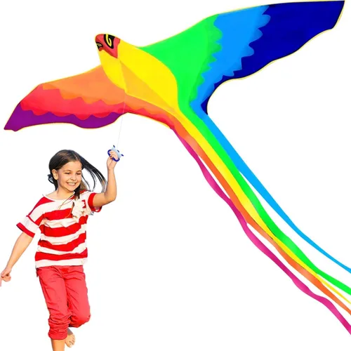 HENGDA KITE Cometa Phoenix, para niños y adultos, fácil de volar, excelente diseño de tela y estructura, las imágenes son hermosas en alta