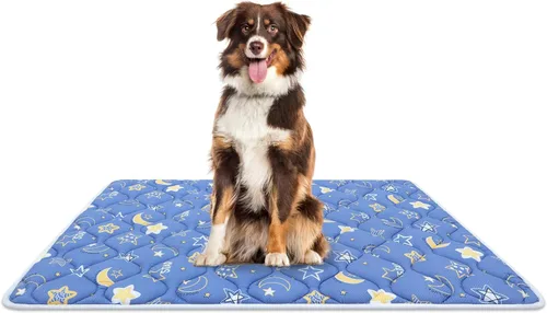Miniatura 20 de Bubble bear - Tapete para jaula de perro ultra suave, lavable y antideslizante para perros pequeños, medianos y grandes, de color oscuro