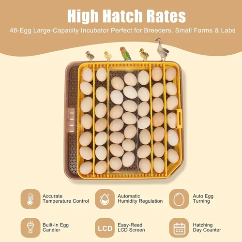 Miniatura 7 de Incubadora de 48 Huevos con Giro Automático y Control de Humedad Incubadora Digital de Aves de Corral para Huevos de Pollo, Pato, Codorniz, Ideal