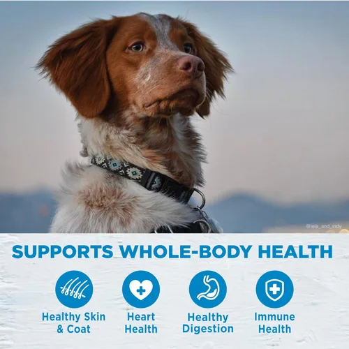 Miniatura 3 de Wellness Simple - Alimento seco para perros con ingredientes limitados para estómagos sensibles, apoya la piel y el pelaje, sin granos, natural