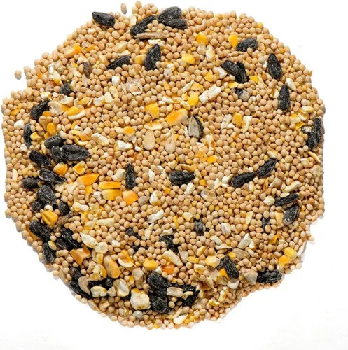 Miniatura 3 de Nature's Nuts Alimento prémium para aves silvestres (sin milo) - 10 libras