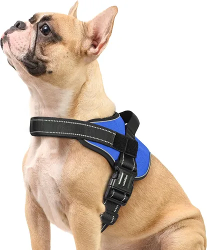 rabbitgoo Arnés para perro de tamaño pequeño, chaleco para mascotas sin tirones, sin estrangulamiento, fácil de llevar con una hebilla, reflectante,