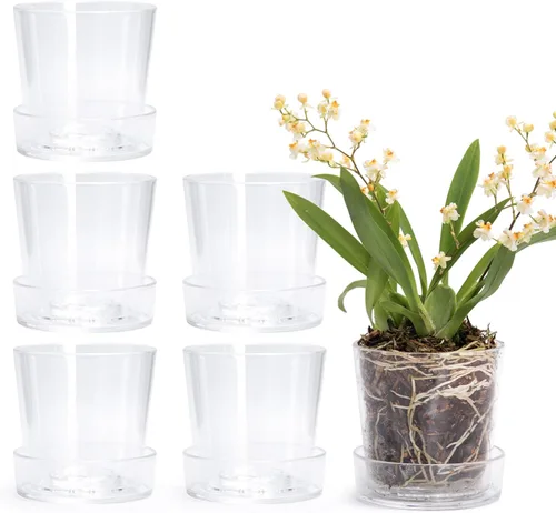 Miniatura 14 de Phoenix Vine Maceta de acrílico transparente de 3.5 pulgadas con bandeja, maceta de orquídeas con agujeros de drenaje, platillo profundo para riego