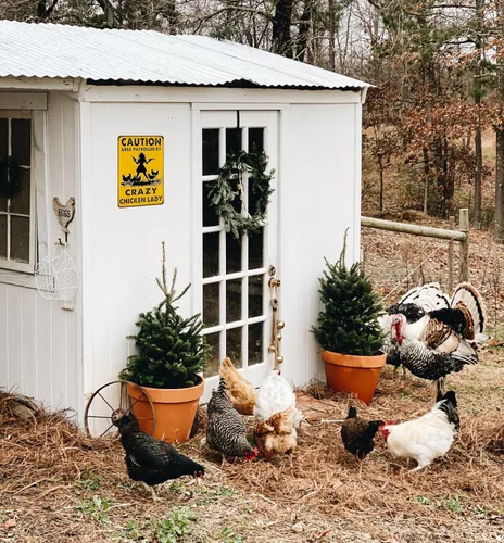 Miniatura 7 de Smilelife Regalos Divertidos de Pollo Precaución Área Patrullada Por Una Loca Señora de los Pollos Letrero de Hojalata para Hogar Granja Gallinero