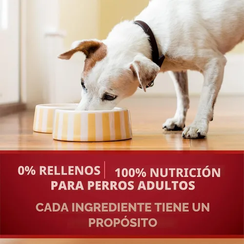 Miniatura 6 de Purina ONE Alimento húmedo para perros con alto contenido de proteínas True Instinct Cortes tiernos en salsa de comida para perros con carne de res