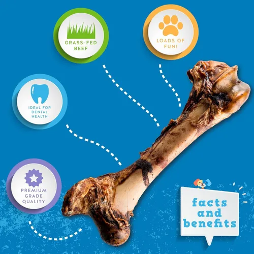 Miniatura 3 de Jack&Pup Mammoth - Huesos grandes para perros grandes, huesos de carne de fémur de 15 pulgadas para masticadores agresivos, hueso de perro gigante