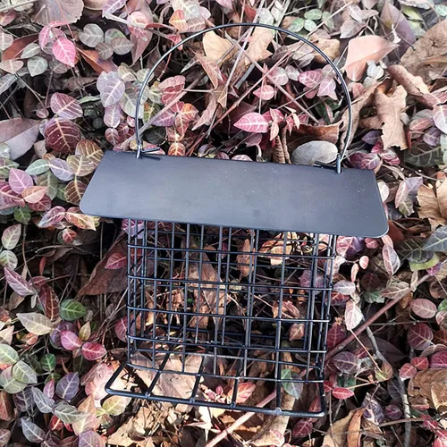 Miniatura 4 de Comedero para pájaros en sebo mejorado, a prueba de lluvia, para colgar al aire libre, para uso con pasteles de sebo, pasteles de semillas, pasteles