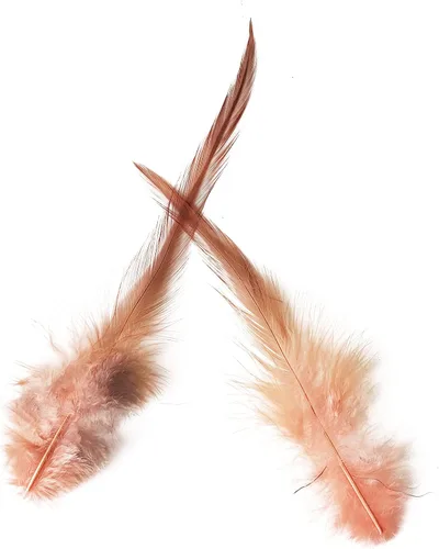 Miniatura 3 de Happy Feather 200 piezas de plumas de gallo para manualidades, plumas de faisán naturales de 5 a 7 pulgadas, aretes colgantes de bricolaje con Rosa