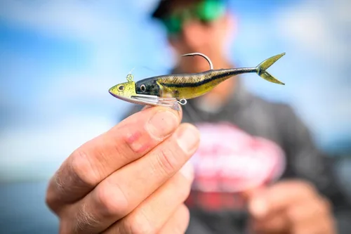 Miniatura 8 de Berkley PowerBait The Champ Minnow - Cebo suave de pesca, calabaza verde, 3.4 pulgadas