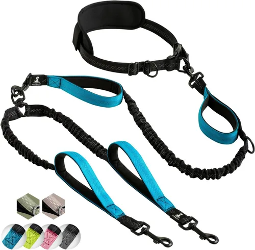Miniatura 39 de SparklyPets Double Bungee Waist 2 Dog Leash with Back Brace – Dual Dog Leash for Medium/Large Breeds – Running Belt Fanny Pack with Phone, Waste