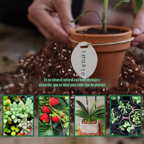 Miniatura 4 de 3 Cuartos de Galón de Perlita para Suelo de Plantas - Enmienda para Tierra de Macetas, Mejora el Drenaje y la Aireación del Suelo, Mejor
