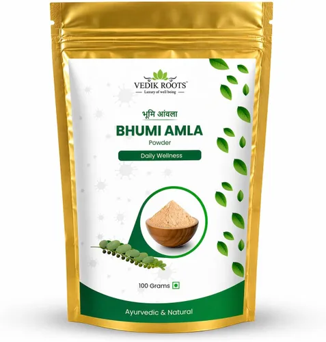 Polvo orgánico Bhumi Amla – Rico en Vitamina C Antioxidante – Apoya la función inmune saludable 3.53 oz (paquete de 1)