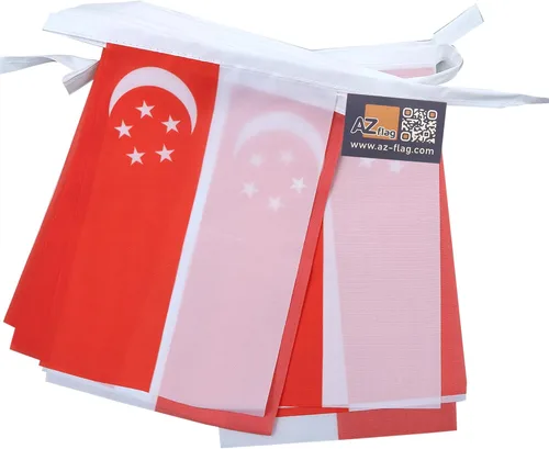 Miniatura 7 de AZ FLAG Singapur 19.7 ft BUNTING Flag 20 banderas 9'' x 6'' - Banderas de cuerda de Singapur 5.9 x 8.3 in