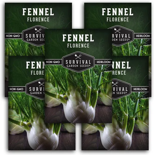 Miniatura 12 de Semilla de hinojo para plantar – 1 paquete con instrucciones para cultivar hinojo de Florencia (Finnochio) en el huerto de tu hogar – Variedad