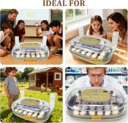 Miniatura 9 de Incubadora de 24 huevos para incubar con girador automático, control inteligente de temperatura y humedad, visualización 360°, ovoscopio, recarga