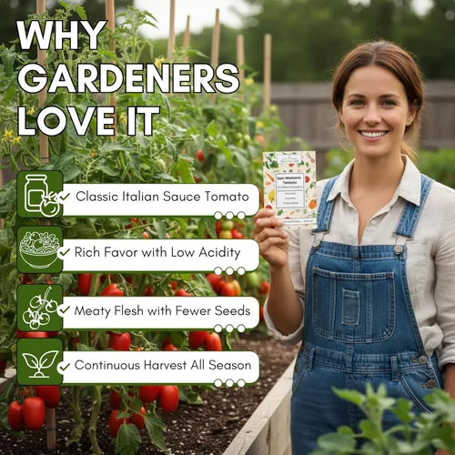 Miniatura 3 de Woods Creek Seeds: Semillas de tomate San Marzano para plantar, semillas de tomate tradicionales para plantar al aire libre, interior, patio