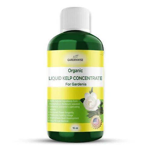 Miniatura 20 de GARDENWISE Fertilizante orgánico prémium de anturio de algas marinas – Alimento líquido para plantas de algas marinas – Potenciador de suelo rico