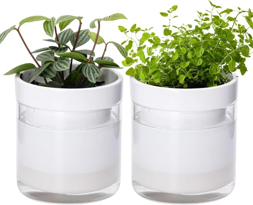 Miniatura 10 de Maceta Phoenix Vine de 6 Pulgadas con Riego Automático, Maceta de Arcilla Terracota con Reservario de Vidrio para Plantas de Interior, Hierbas