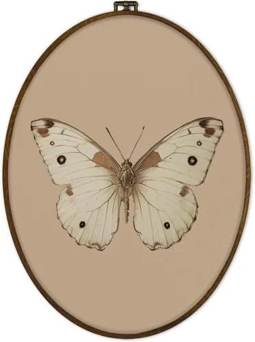 GWFSJYU Arte de pared vintage beige con mariposa oval enmarcada, impresiones de lienzo de mariposas antiguas, decoración colgante de mariposas boho